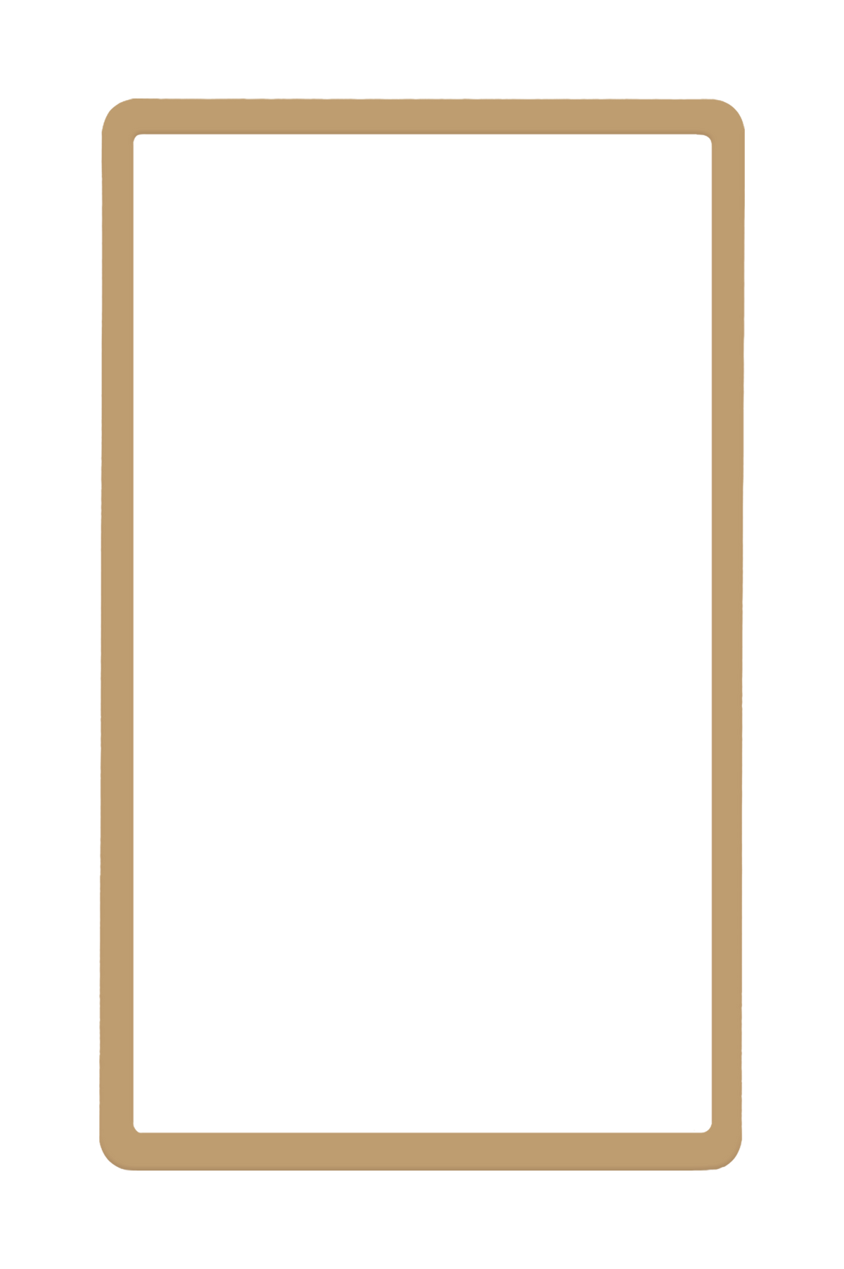 Ace Graded Standard Slab Guard