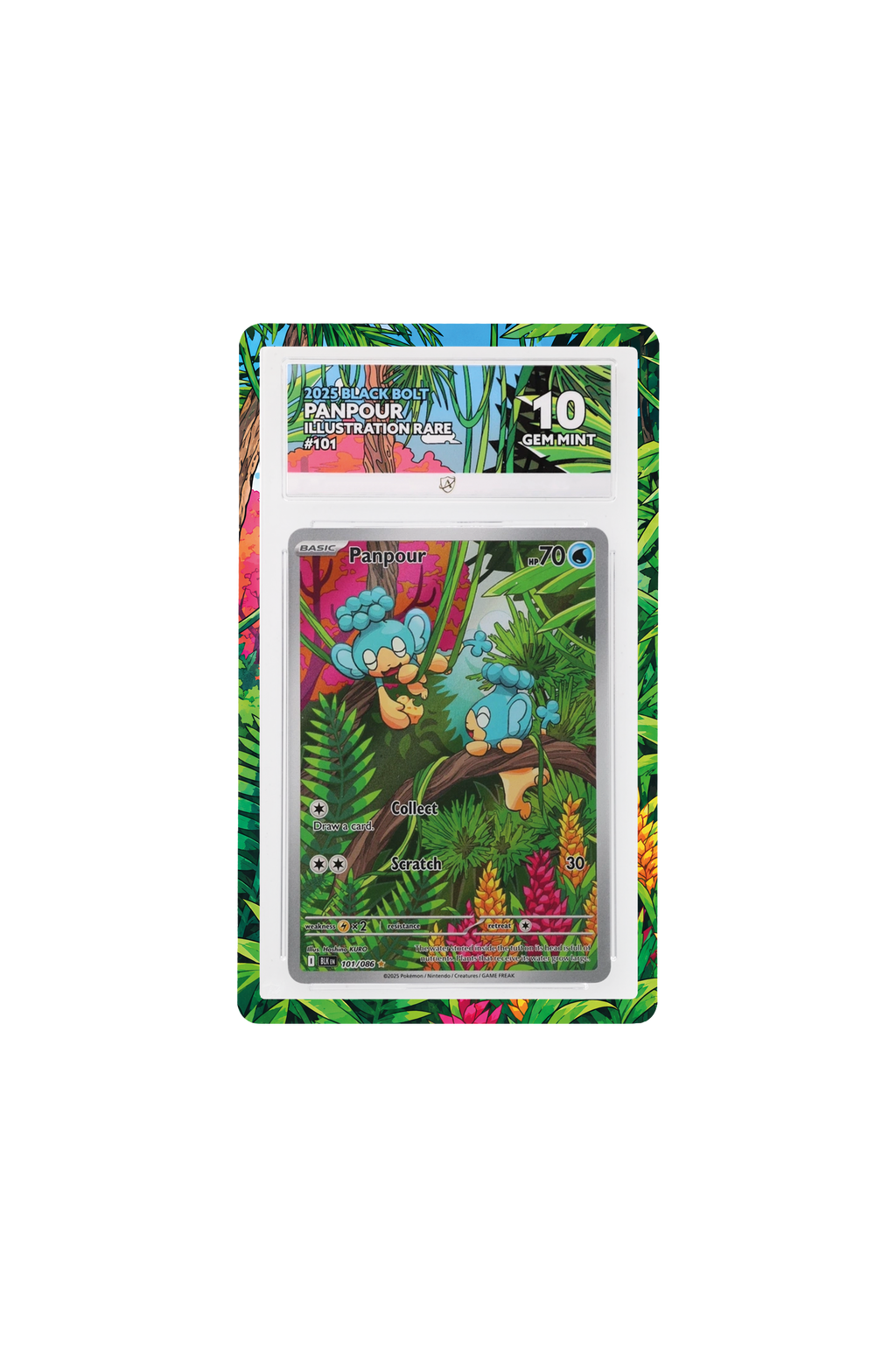 Ace Graded Full Art Slab Guard